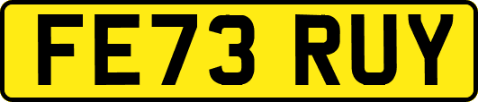 FE73RUY