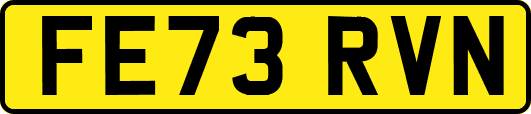 FE73RVN