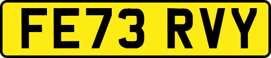 FE73RVY