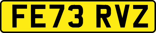 FE73RVZ