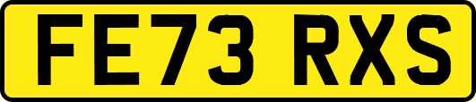 FE73RXS