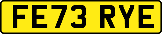FE73RYE