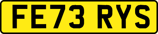 FE73RYS
