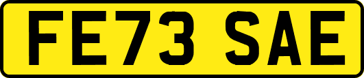 FE73SAE