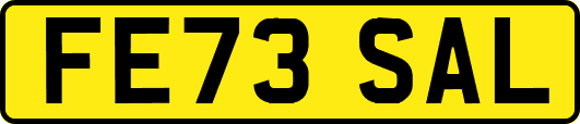 FE73SAL