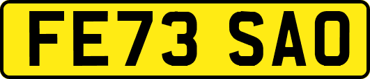 FE73SAO