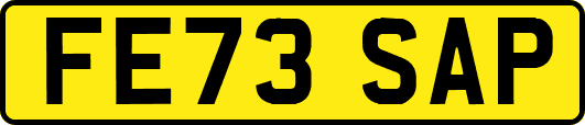 FE73SAP