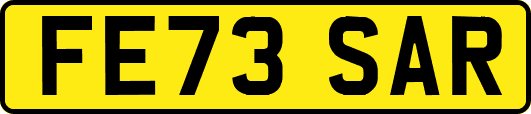 FE73SAR
