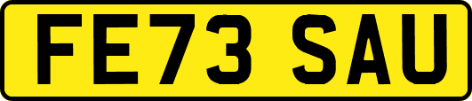 FE73SAU