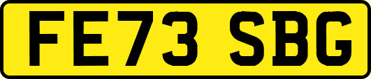 FE73SBG
