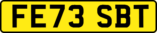 FE73SBT