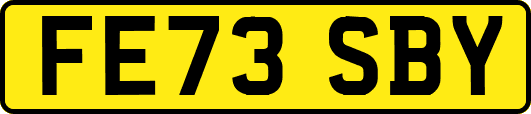 FE73SBY