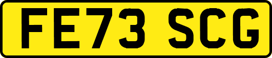 FE73SCG