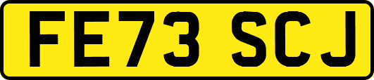 FE73SCJ