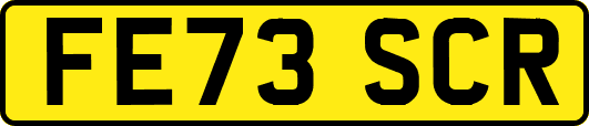 FE73SCR