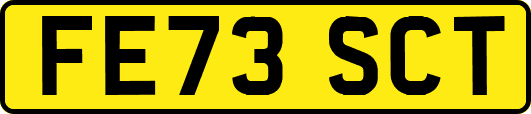 FE73SCT