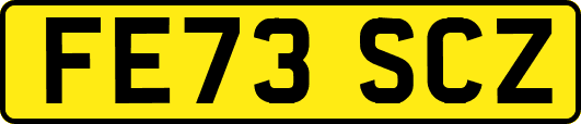 FE73SCZ