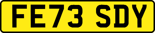 FE73SDY