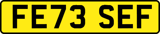 FE73SEF