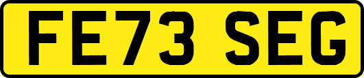 FE73SEG