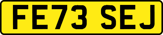 FE73SEJ