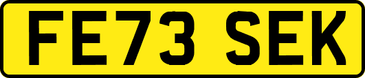 FE73SEK