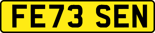 FE73SEN