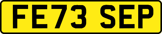 FE73SEP