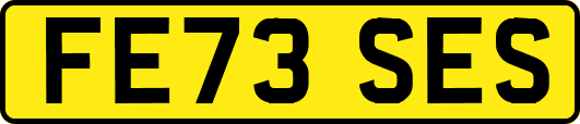 FE73SES