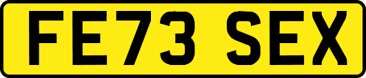 FE73SEX