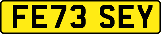 FE73SEY