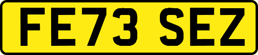 FE73SEZ