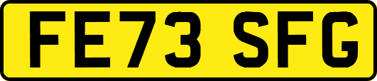 FE73SFG