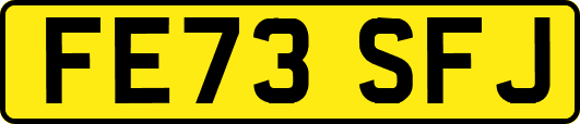 FE73SFJ
