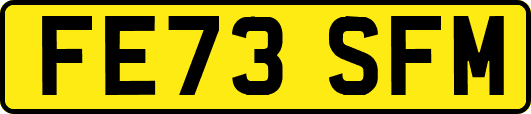 FE73SFM