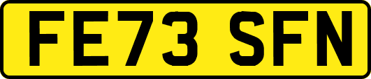 FE73SFN
