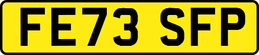 FE73SFP