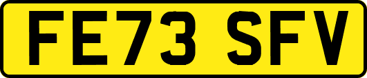 FE73SFV