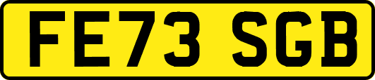 FE73SGB