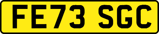 FE73SGC