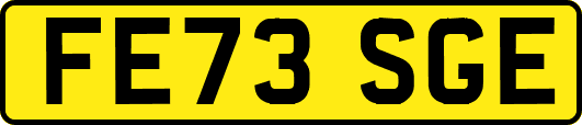 FE73SGE