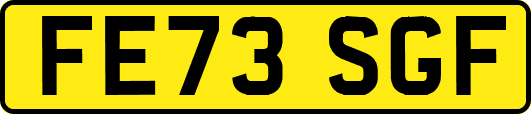FE73SGF