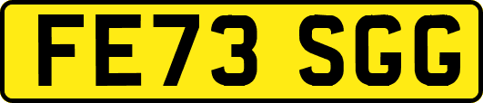 FE73SGG