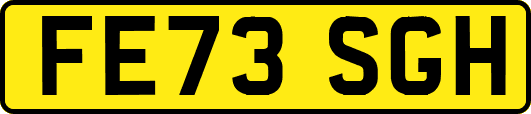FE73SGH