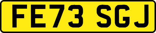 FE73SGJ