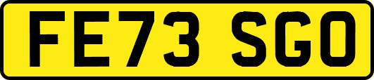 FE73SGO