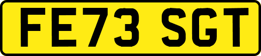FE73SGT