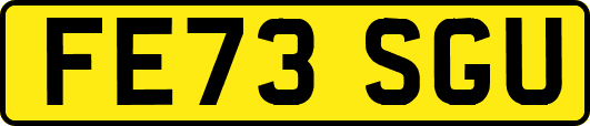 FE73SGU