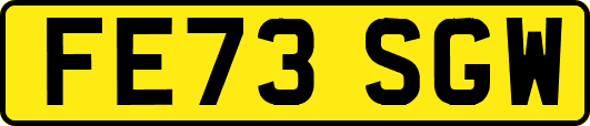 FE73SGW