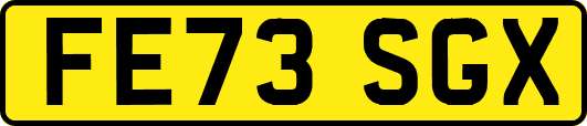 FE73SGX